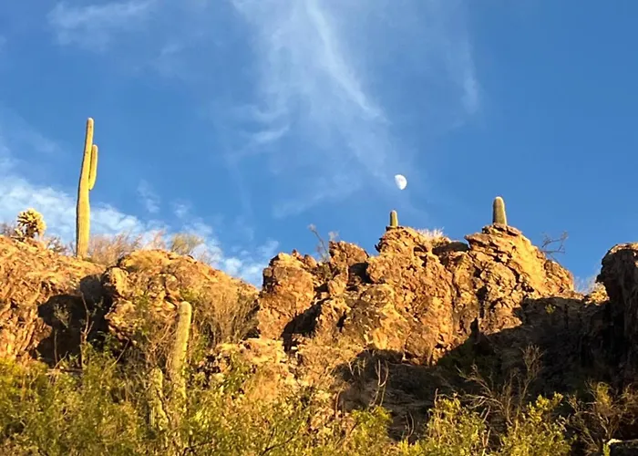 The Nest In Ventana Canyon *