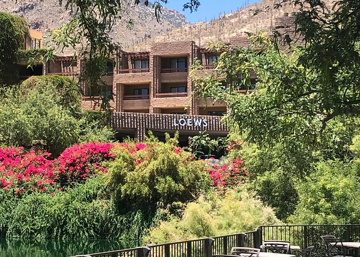 The Nest In Ventana Canyon *